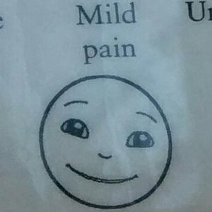 Meet your Posher, Molly